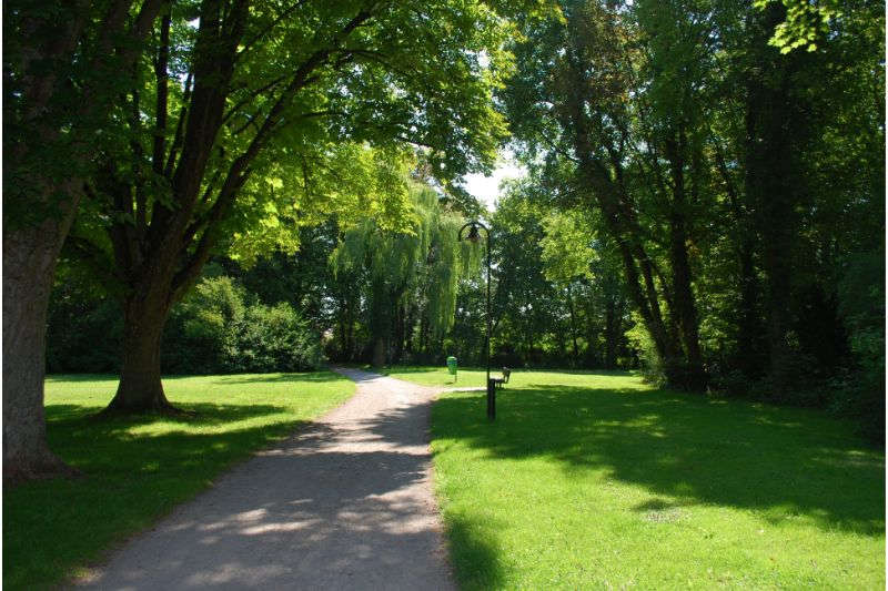 Walk In The Woods - Bergamo Parks 