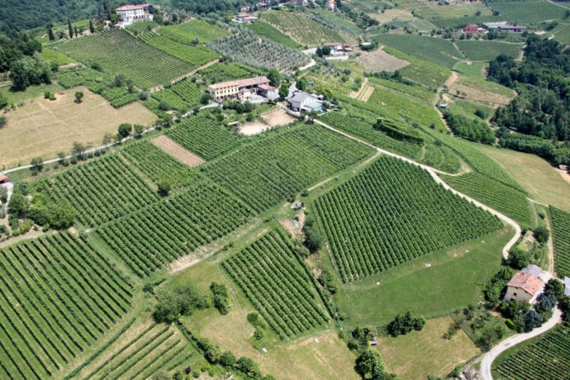 Vigneti Scanzorosciate Vigneti Scanzorosciate