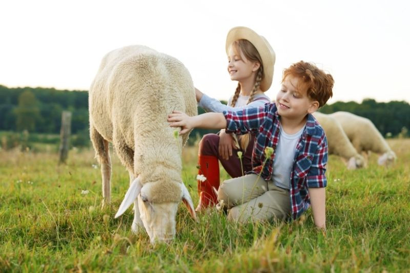 Agriturismi con animali a Bergamo e provincia