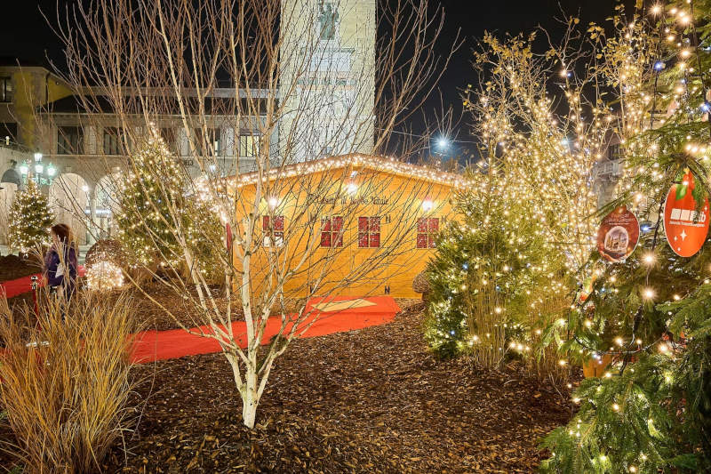 Bosco di Natale Christmas Design